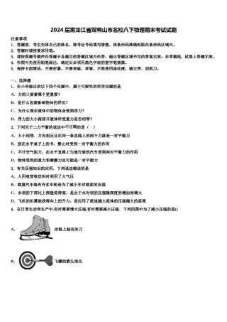 2024届黑龙江省双鸭山市名校八下物理期末考试试题含解析.doc