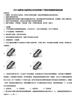2024届黑龙江省双鸭山市名校物理八下期末质量跟踪监视试题含解析.doc
