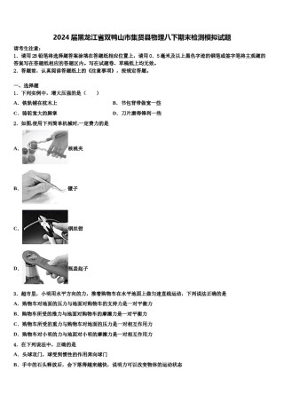 2024届黑龙江省双鸭山市集贤县物理八下期末检测模拟试题含解析.doc