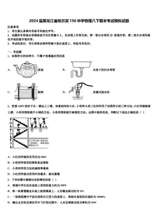 2024届黑龙江省哈尔滨156中学物理八下期末考试模拟试题含解析.doc