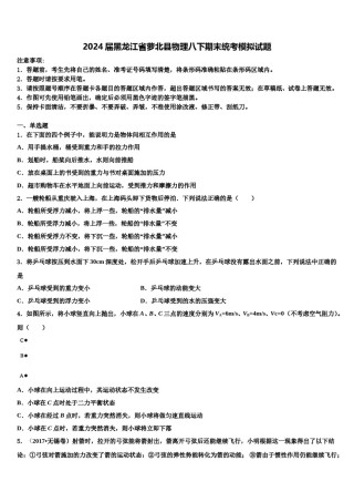 2024届黑龙江省萝北县物理八下期末统考模拟试题含解析.doc