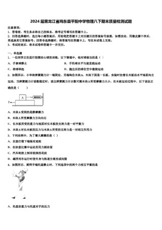 2024届黑龙江省鸡东县平阳中学物理八下期末质量检测试题含解析.doc