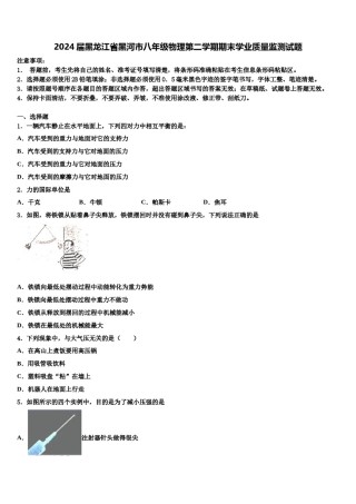 2024届黑龙江省黑河市八年级物理第二学期期末学业质量监测试题含解析.doc