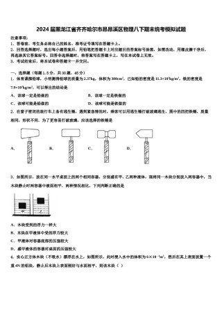 2024届黑龙江省齐齐哈尔市昂昂溪区物理八下期末统考模拟试题含解析.doc