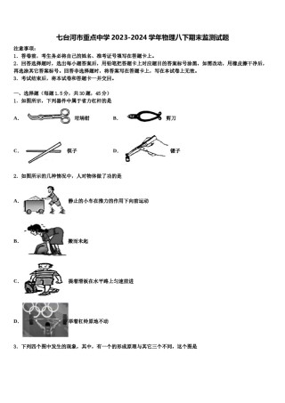 七台河市重点中学2023-2024学年物理八下期末监测试题含解析.doc
