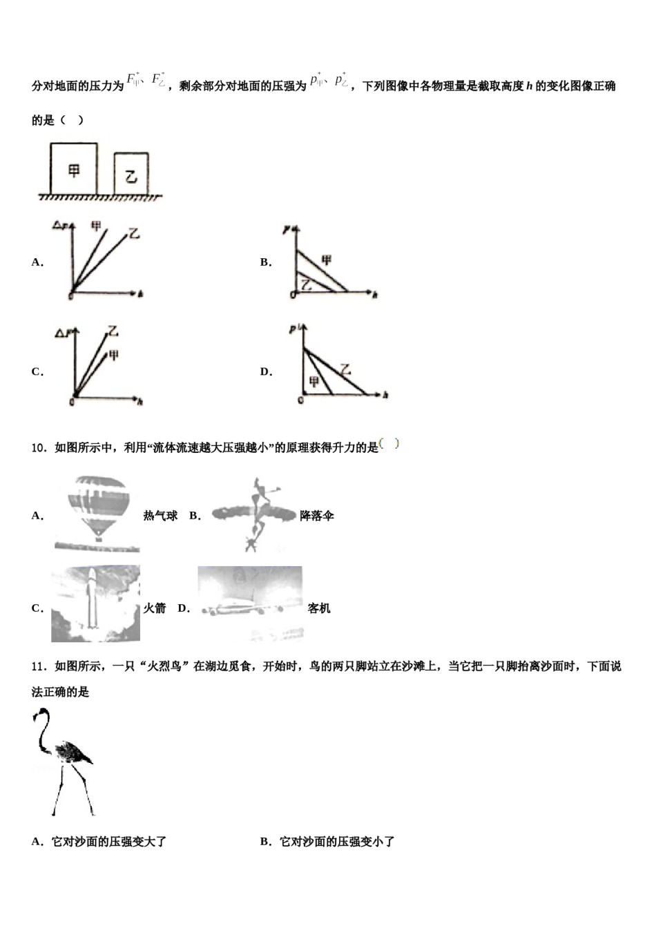 上海外国语大秀洲外国语学校2024年物理八下期末复习检测试题含解析.doc_第3页