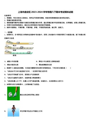 上海市嘉定区2023-2024学年物理八下期末考试模拟试题含解析.doc