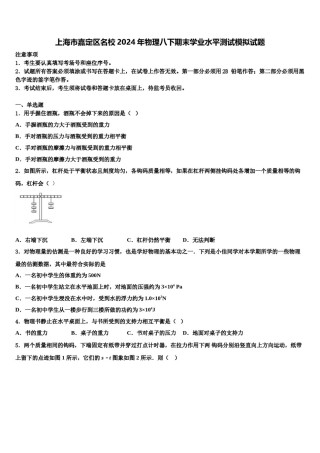 上海市嘉定区名校2024年物理八下期末学业水平测试模拟试题含解析.doc