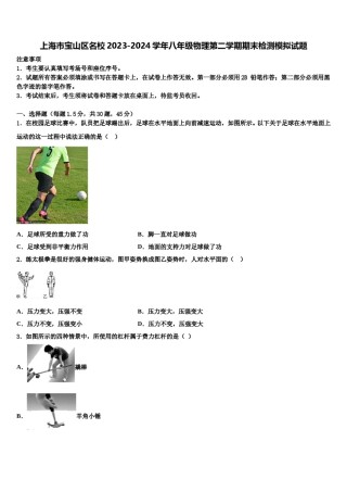 上海市宝山区名校2023-2024学年八年级物理第二学期期末检测模拟试题含解析.doc