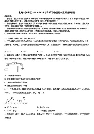 上海市崇明区2023-2024学年八下物理期末监测模拟试题含解析.doc