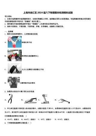 上海市徐汇区2024届八下物理期末检测模拟试题含解析.doc