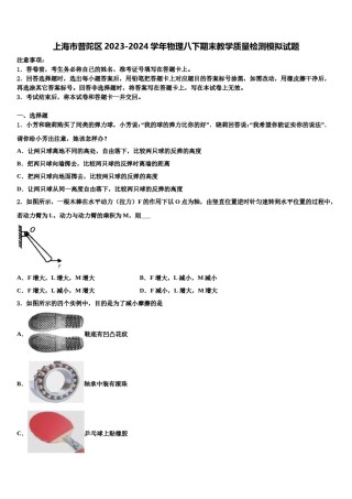 上海市普陀区2023-2024学年物理八下期末教学质量检测模拟试题含解析.doc