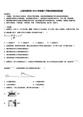 上海市普陀区2024年物理八下期末质量检测试题含解析.doc
