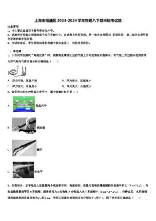 上海市杨浦区2023-2024学年物理八下期末统考试题含解析.doc