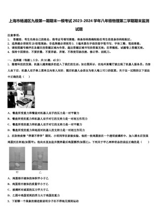 上海市杨浦区九级第一期期末一模考试2023-2024学年八年级物理第二学期期末监测试题含解析.doc