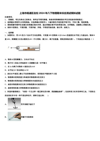 上海市杨浦区名校2024年八下物理期末综合测试模拟试题含解析.doc