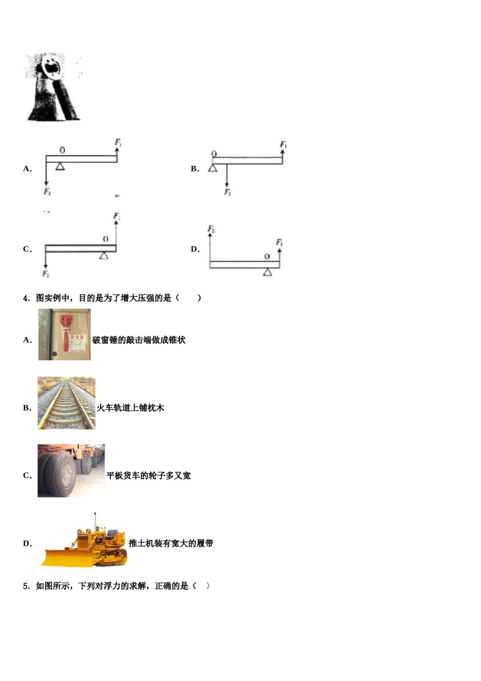 上海市民办新竹园中学2024年八下物理期末达标检测试题含解析.doc_第2页