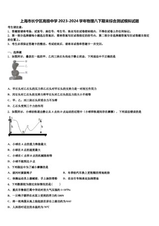 上海市长宁区高级中学2023-2024学年物理八下期末综合测试模拟试题含解析.doc
