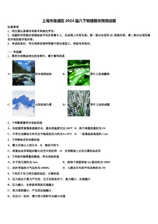 上海市青浦区2024届八下物理期末预测试题含解析.doc
