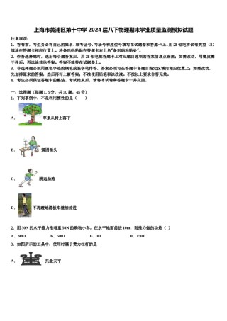上海市黄浦区第十中学2024届八下物理期末学业质量监测模拟试题含解析.doc