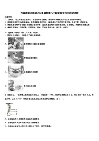 东营市重点中学2024届物理八下期末学业水平测试试题含解析.doc