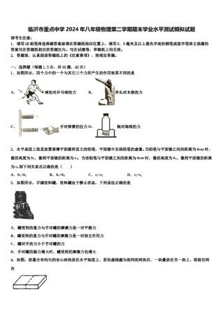 临沂市重点中学2024年八年级物理第二学期期末学业水平测试模拟试题含解析.doc