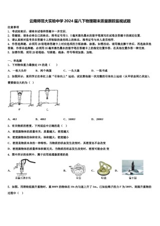 云南师范大实验中学2024届八下物理期末质量跟踪监视试题含解析.doc
