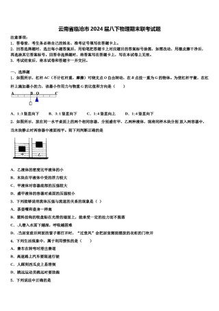 云南省临沧市2024届八下物理期末联考试题含解析.doc