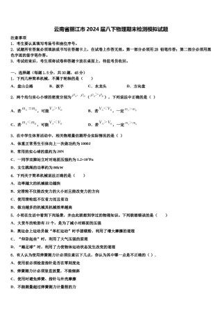 云南省丽江市2024届八下物理期末检测模拟试题含解析.doc