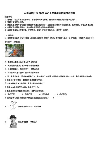 云南省丽江市2024年八下物理期末质量检测试题含解析.doc