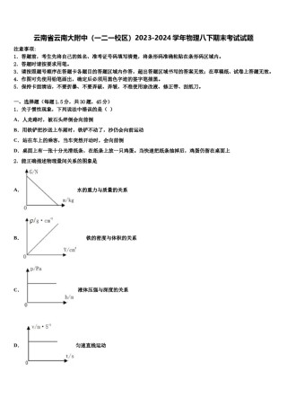 云南省云南大附中（一二一校区）2023-2024学年物理八下期末考试试题含解析.doc