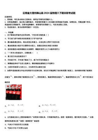 云南省大理州巍山县2024届物理八下期末联考试题含解析.doc