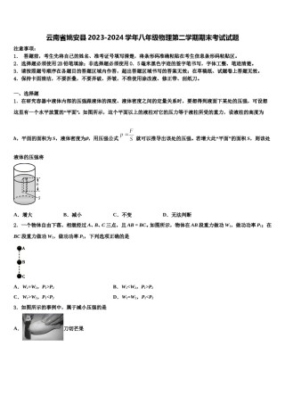 云南省姚安县2023-2024学年八年级物理第二学期期末考试试题含解析.doc