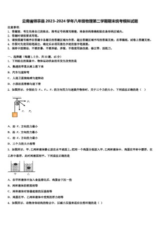 云南省师宗县2023-2024学年八年级物理第二学期期末统考模拟试题含解析.doc