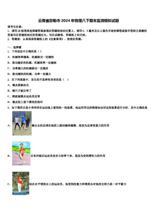 云南省弥勒市2024年物理八下期末监测模拟试题含解析.doc
