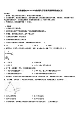 云南省德宏市2024年物理八下期末质量跟踪监视试题含解析.doc