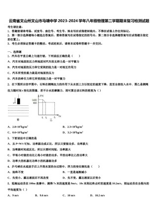 云南省文山州文山市马塘中学2023-2024学年八年级物理第二学期期末复习检测试题含解析.doc