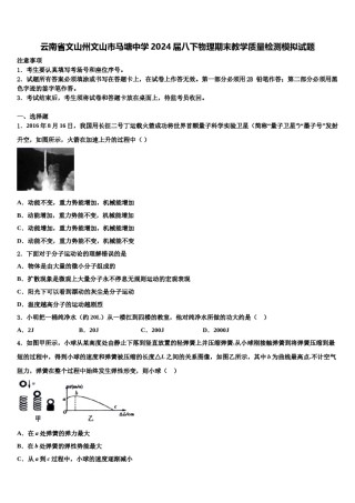 云南省文山州文山市马塘中学2024届八下物理期末教学质量检测模拟试题含解析.doc