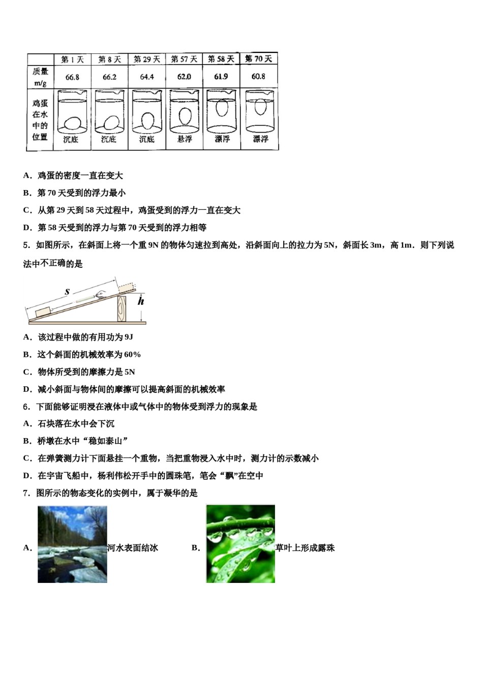 云南省文山市2023-2024学年八下物理期末学业质量监测试题含解析.doc_第2页