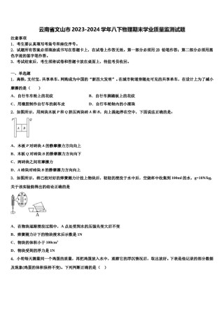 云南省文山市2023-2024学年八下物理期末学业质量监测试题含解析.doc