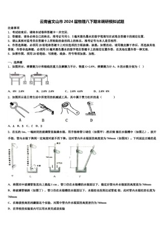 云南省文山市2024届物理八下期末调研模拟试题含解析.doc