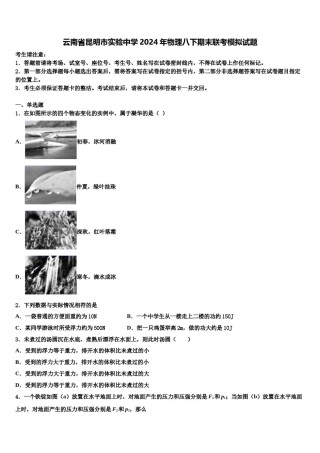 云南省昆明市实验中学2024年物理八下期末联考模拟试题含解析.doc