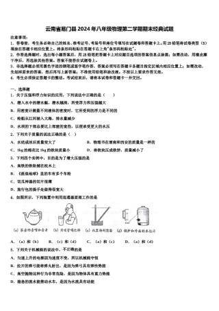 云南省易门县2024年八年级物理第二学期期末经典试题含解析.doc