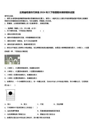 云南省昭通市巧家县2024年八下物理期末调研模拟试题含解析.doc