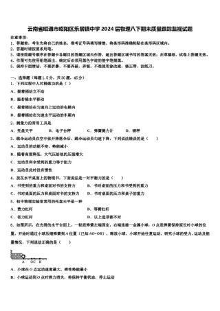 云南省昭通市昭阳区乐居镇中学2024届物理八下期末质量跟踪监视试题含解析.doc