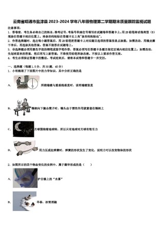 云南省昭通市盐津县2023-2024学年八年级物理第二学期期末质量跟踪监视试题含解析.doc