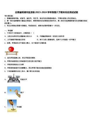 云南省昭通市盐津县2023-2024学年物理八下期末综合测试试题含解析.doc