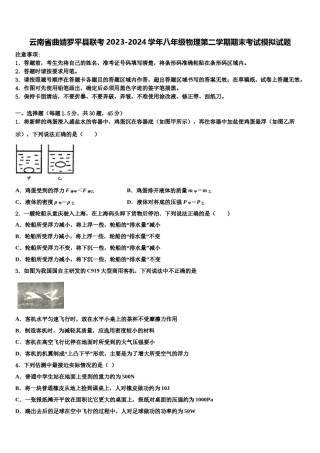 云南省曲靖罗平县联考2023-2024学年八年级物理第二学期期末考试模拟试题含解析.doc