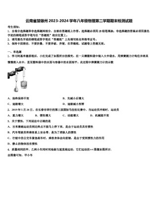 云南省楚雄州2023-2024学年八年级物理第二学期期末检测试题含解析.doc