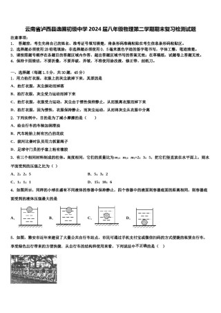 云南省泸西县逸圃初级中学2024届八年级物理第二学期期末复习检测试题含解析.doc